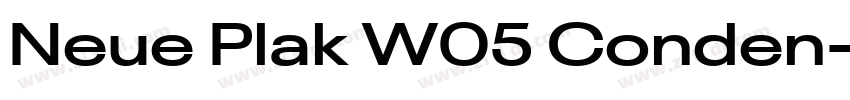 Neue Plak W05 Conden字体转换